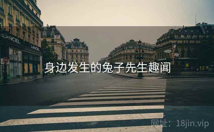 身边发生的兔子先生趣闻