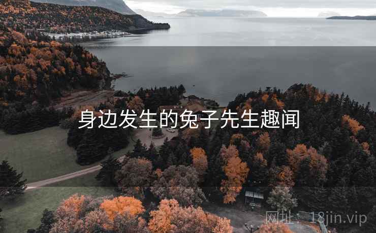 身边发生的兔子先生趣闻 身边发生的兔子先生趣闻