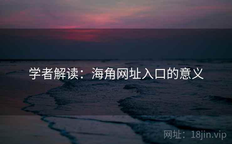 学者解读:海角网址入口的意义