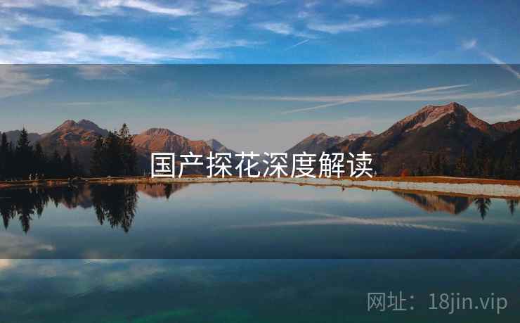 国产探花深度解读 国产探花深度解读