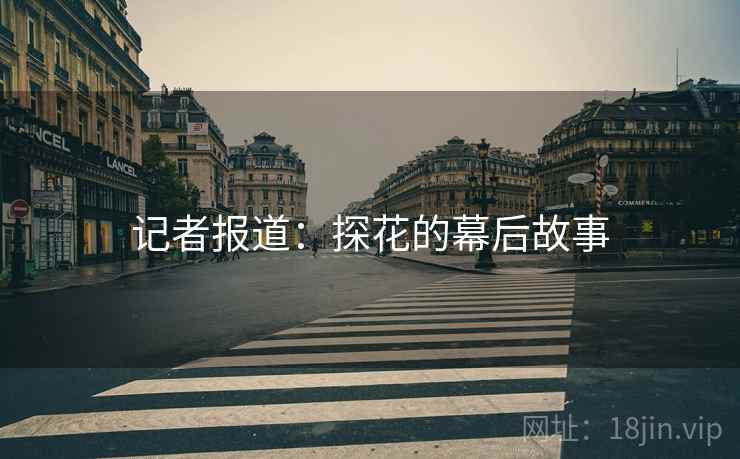 记者报道:探花的幕后故事