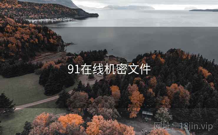 91在线机密文件 91在线机密文件