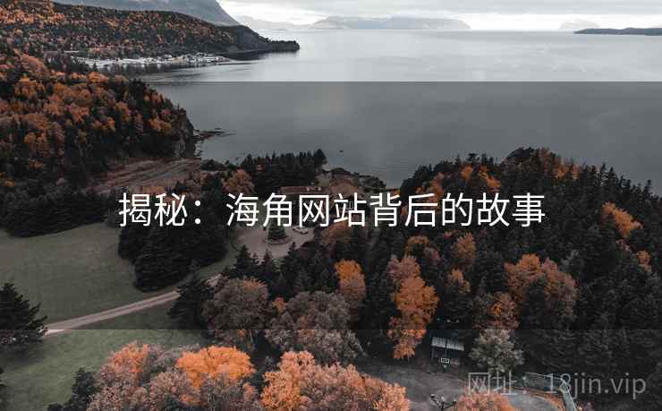 揭秘:海角网站背后的故事