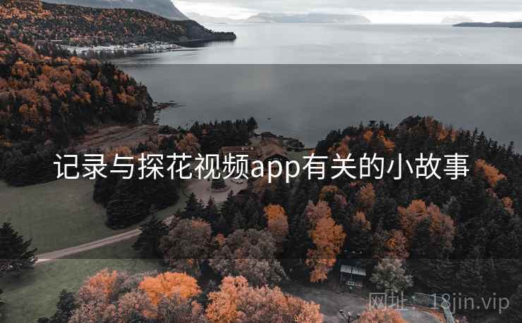 记录与探花视频app有关的小故事