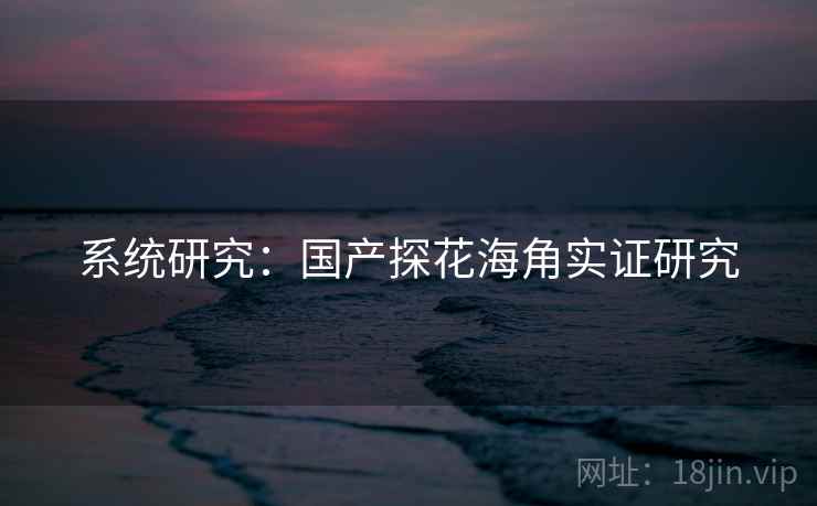 系统研究:国产探花海角实证研究