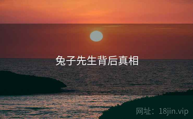 兔子先生背后真相