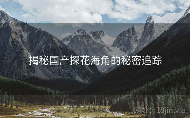 揭秘国产探花海角的秘密追踪
