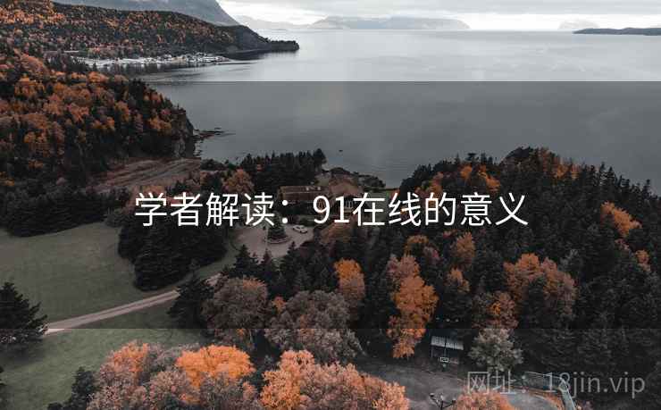 学者解读:91在线的意义 学者解读:91在线的意义