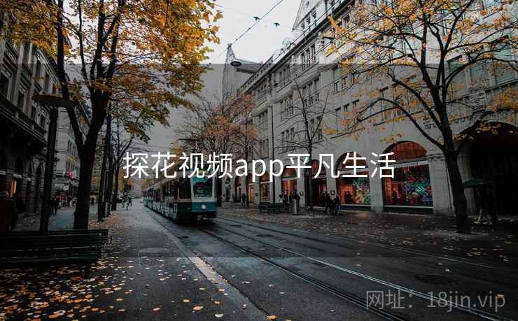 探花视频app平凡生活 探花视频app平凡生活