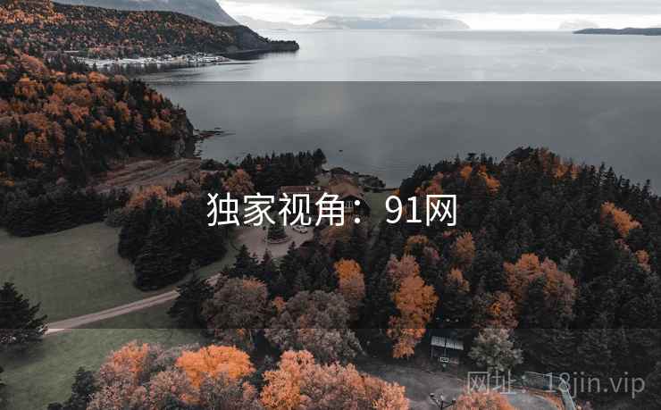 独家视角:91网