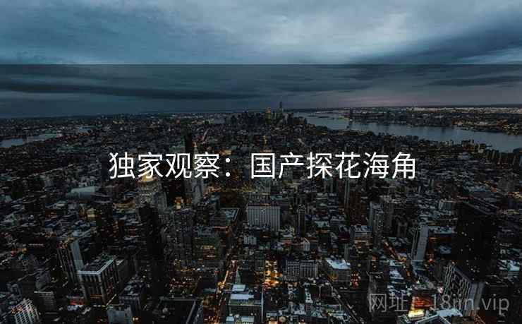 独家观察:国产探花海角