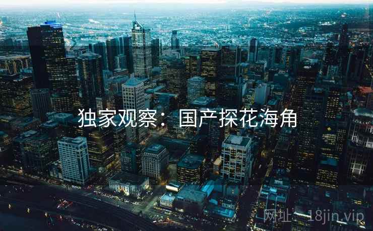 独家观察:国产探花海角 独家观察:国产探花海角