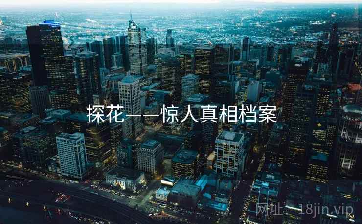 探花——惊人真相档案 探花——惊人真相档案