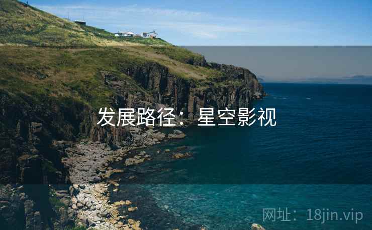 发展路径:星空影视
