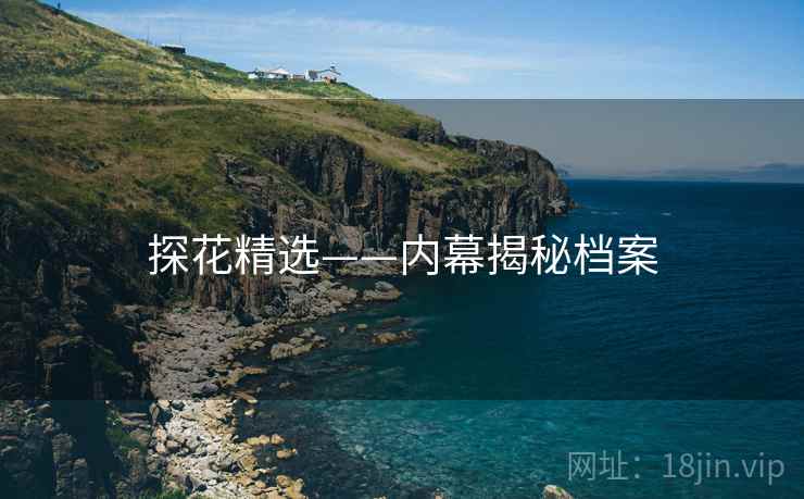 探花精选——内幕揭秘档案 探花精选——内幕揭秘档案