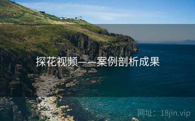 探花视频——案例剖析成果